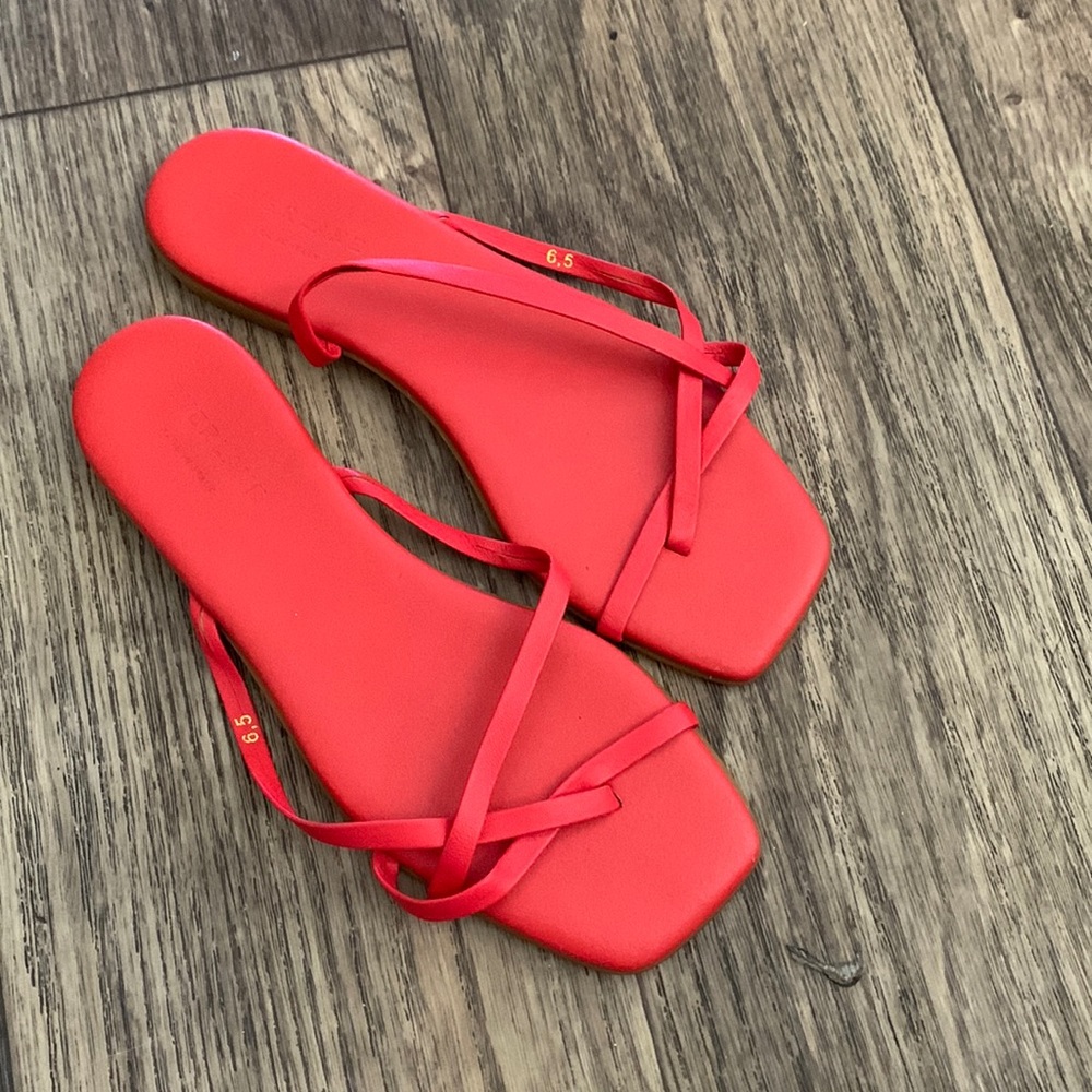 Everlane strappy sandal